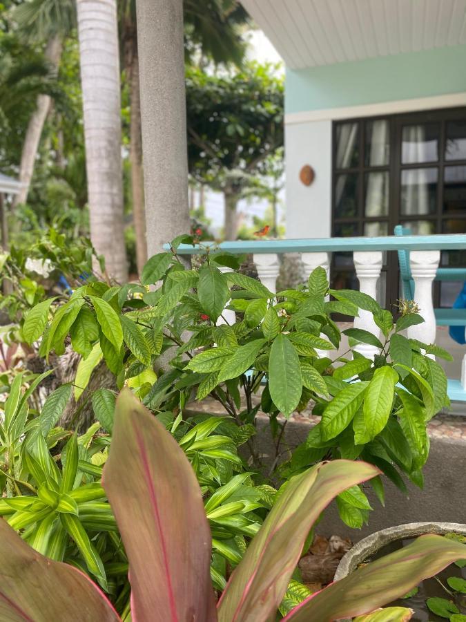 Cabanes Des Anges La Digue Eksteriør bilde